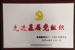 yL23411永利先进基层党组...